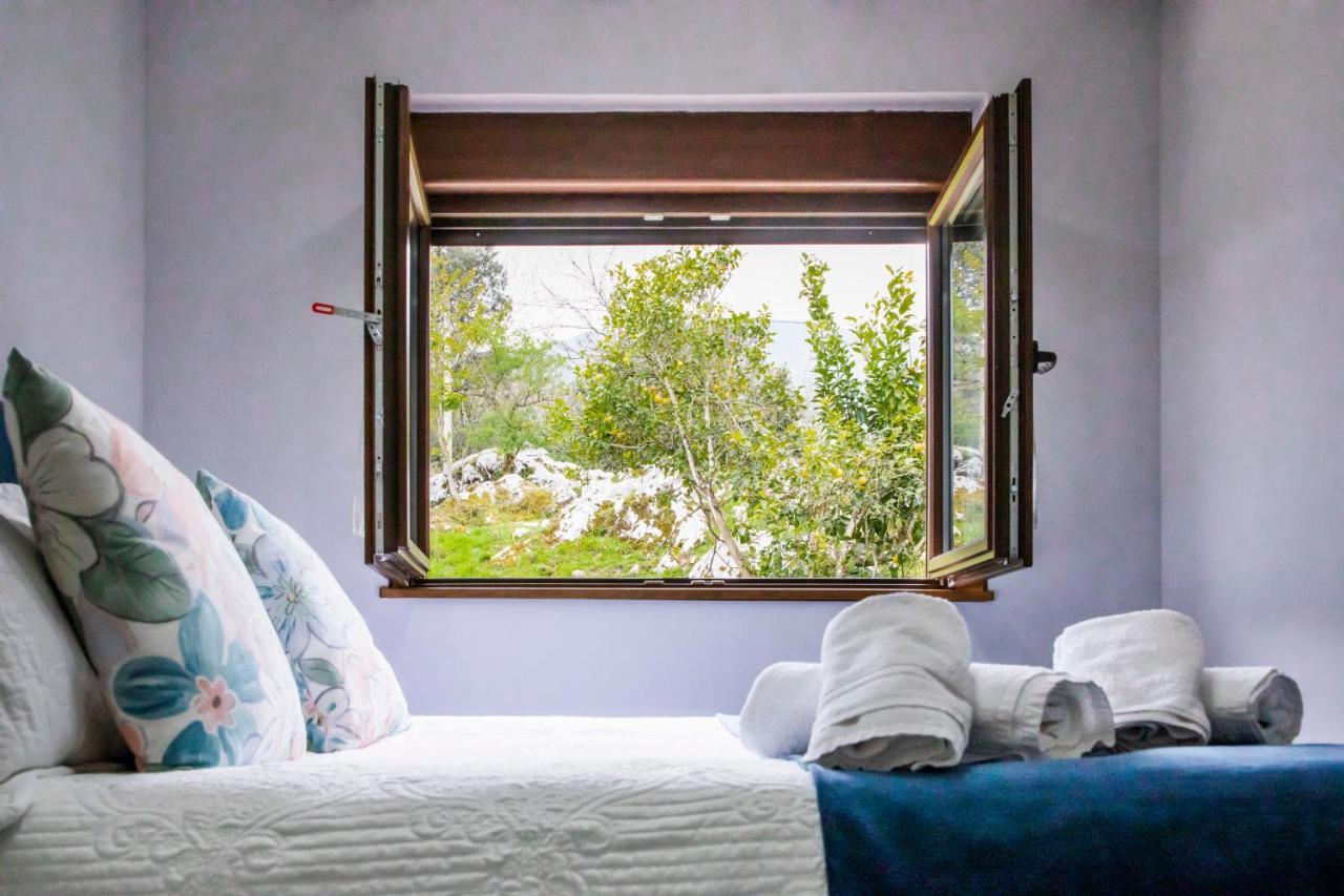 Casa de campo en Llanes para 8 personas La Galguera Bagian luar foto